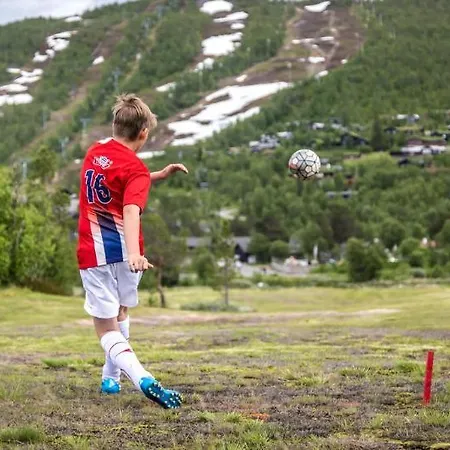 Vestlia Hotel Geilo