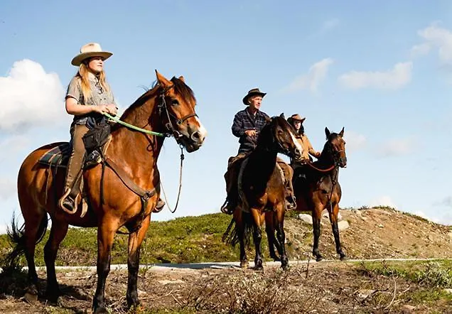 Ξενοδοχείο Vestlia 4*